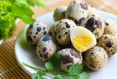 Apa Manfaat Telur Puyuh Untuk Kesehatan? Nikmati 5 Kelezatan Telur Puyuh Gurih dan Nutrisi Tinggi!