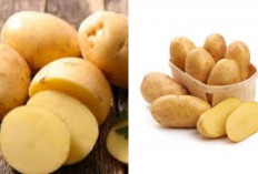 Inilah 7 Manfaat Kentang Untuk Kesehatan Tubuh, Nggak Cuma Bikin Kenyang!