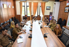 Pagar Alam Ikuti Rapat DPR RI Bahas Nasib PPPK dan Belanja Pegawai Daerah