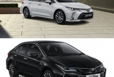 Toyota Corolla Berubah Total! Muncul Versi Pickup Futuristik di Negara Tetangga, Desain Ekstrem dan Teknologi 