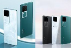 Review Vivo V30 5G: Layar AMOLED Tajam, Baterai Awet Seharian Ditahun 2025