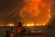 Pantau Kebakaran di Bromo, Menhut Ungkit Komando Penanganan Karhutla