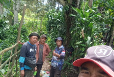 Masyarakat Dempo Utara Bersatu Bangun Akses Pertanian