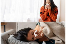 Flu Menyerang? Jangan Panik, Lakukan 6 Langkah Ampuh Ini Agar Cepat Pulih dan Segar Kembali