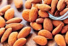 Jarang Diketahui! Yuk Intip 5 Manfaat Kacang Almond Untuk Hidup yang Berkualitas