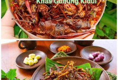 Belalang Goreng? Kuliner Ekstrem Khas Gunung Kidul Kaya Manfaat. Ternyata Ini Khasiat Makan Belalang!