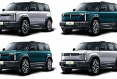 Chery J6 Resmi Hadir sebagai SUV Listrik Futuristik, Siap Tantang Pasar Indonesia Ditahun 2025!