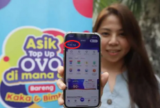 Cuma Modal HP dan Internet, Kamu Bisa Panen Saldo OVO Gratis! Ini Caranya!