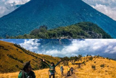 Goa Cianjur, Menelusuri Keangkeran dan Keindahan di Gunung Gede!