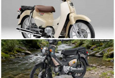 Tampil Lebih Tangguh dan Serbaguna, Honda Cross Cub 110 2026 Jadi Pilihan Menarik untuk Pecinta Adventure