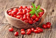 Yuk Simak 5 Manfaat Goji Berry Untuk Kesehatan Tubuh 