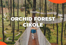 Wisata Alam Dengan Konsep Nomadic Tourism Terbaik Versi Kementerian Pariwisata: Orchid Forest Cikole