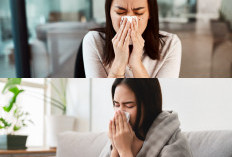 Temukan Tips Efektif Untuk Meredakan Hidung Tersumbat Di Sini