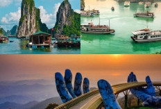 Destinasi Wisata Terbaik di Vietnam, Menikmati Keindahan Alam dan Warisan Sejarah