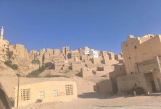 Tarim Habib