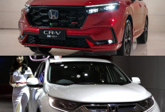 Honda CR-V Tidak Disetop Global, Model 2026 Siap Hadir dengan Fokus Hybrid