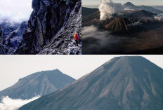 Mendaki Gunung-Gunung Gemilang, Meraih Puncak-Puncak Indonesia yang Megah!