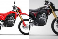 Honda CRF150L 2026 Resmi Hadir Upgrade Tampilan dan Ketangguhan, Harga Terbaru Bikin Pecinta Trail Tergoda!