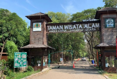 Taman Wisata Alam Angke Kapuk, Oase Hijau di Tengah Jakarta