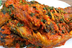 Wow Menarik Nih Guys? Resep Ikan Lele Bumbu Cabe Kemangi, Bikin Nambah Nasi Terus! 