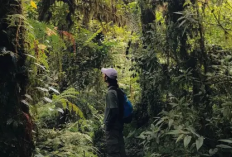 Gunung Tapak: Rahasia Gunung Datar di Bali dan Daya Tariknya