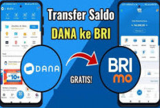 Berikut Daftar 5 Bank yang Bisa Top Up Saldo DANA dengan Transfer, Apa Aja Yah?