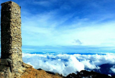 Puncak Tertinggi Sulawesi: Rute Menantang Menuju Puncak Gunung Latimojong