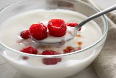 Tak Hanya Enak dan Bergizi! Ini 5 Kenikmatan Probiotik Dalam Setiap Sisi Yoghurt
