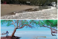 Keindahan Pantai Ciwerang Jadi Pilihan Liburan Seru dan Menyegarkan