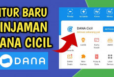 Wajib Dicoba, Ini Manfaat DANA Cicil