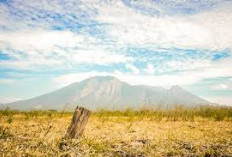 Rahasia Alam Gunung Balayan, Menyingkap Tabir Misteri di Antara Pepohonan