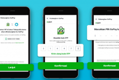 Panduan Lengkap Istilah dalam Event GoPay Gratis untuk Pemula