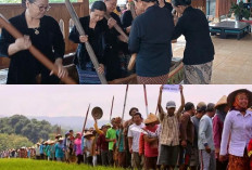 Mengenal Suku Samin 2026: Filosofi Hidup Sedulur Sikep yang Jadi Kunci Kelestarian Alam dan Kejujuran Mutlak