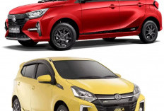 Harga Ayla 2026 Naik atau Stabil? Simak Rinciannya di Maret Ini