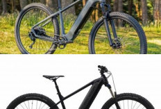 Yuk Coba Serunya Gowes Sepeda Gunung Elektrik dengan Mode Jalan Otomatis