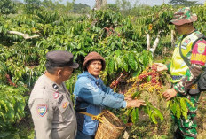 Sinergi untuk keamanan dan Cegah Karthutla