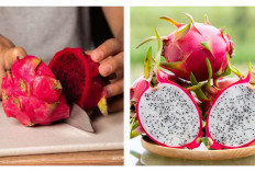 Manfaat Buah Naga untuk Kesehatan Tubuh dan Kulit