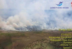 783 Kasus Karhutla Landa Sumsel, Cuaca Panas Picu Lonjakan Titik Api