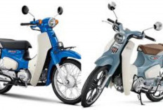 Honda Super Cub C125 Terbaru 2026 Resmi Meluncur Desain Klasik Ikonik Dipadu Teknologi Modern!