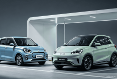 Suzuki e-Sky Melawan BYD Racco: Dua Mobil Listrik Mungil dengan Baterai dan Fitur Berbeda