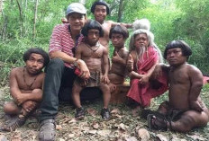 Menelusuri Misteri Pulau Jambi, Rekam Jejak Antik dan Keajaiban Alam yang Menggoda