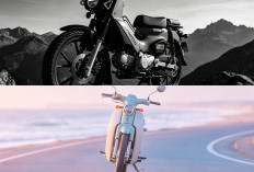 WMoto Porter 125: Mirip Motor Bebek Sultan, Cukup Rp80 Juta Bisa Bawa Pulang 3 Unit Sekaligus
