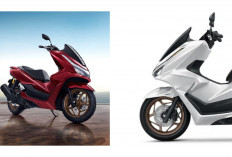 Tinggalkan Kesan Mewah! Inilah Honda PCX Street yang Tampil Lebih Sangar dan Siap Trabas Jalur Touring