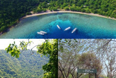 Rahasia dan Pesona Pulau Satonda, Wisata Alam yang Menakjubkan dan Riset yang Mengagumkan!