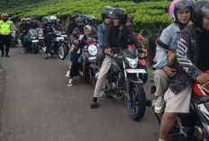 Wisata Membludak, Jalur Bukit Tungguan hingga Tugu Rimau Padat Merayap