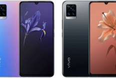 Review vivo V20 di 2026: Kamera Selfie 44 MP, Layar AMOLED, Performa, dan Harga Terbarunya!