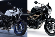 Suzuki SV650X 2025, Cafe Racer Klasik dengan Teknologi Canggih dan Harga yang Menarik, Ini Keunggulannya!