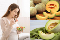 Ingin Kehamilan Sehat? Yuk Konsumsi 6 Manfaat Buah Melon yang Jarang Diketahui