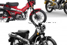 WMoto Porter 125: Mirip Honda CT125 