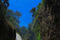 Air Terjun Blawan: Pesona Wisata Lain di Kaki Gunung Ijen